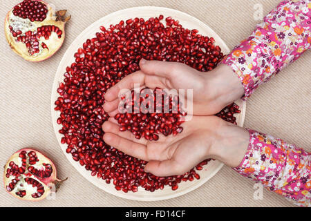 Volle Platte von geschälten Granatapfel Samen Stockfoto