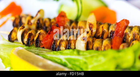 frisch gegrillte Miesmuscheln mit Kräutern und Zitrone auf weißen Teller, selektiven Fokus Stockfoto