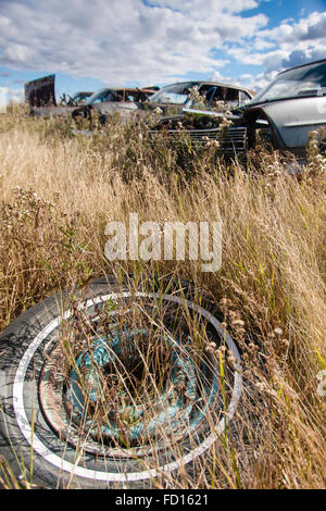 Eine ausgediente Autoreifen liegen auf dem Boden, unter den hohen Gräsern, an zerstörten Fahrzeuge in einem Auto-Schrottplatz Stockfoto