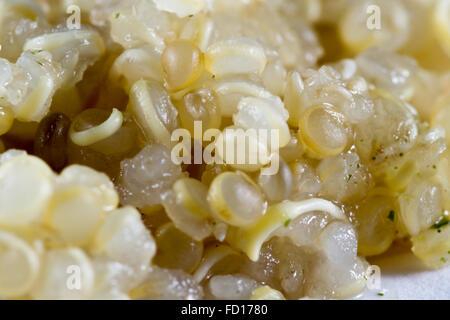 Nahaufnahme von organischen gekochten Auswuchs Quinoa auf weißem Hintergrund Stockfoto