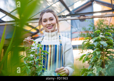 Lächelnde junge Frau Gärtner im gestreiften Schürze stehen in der Orangerie Stockfoto