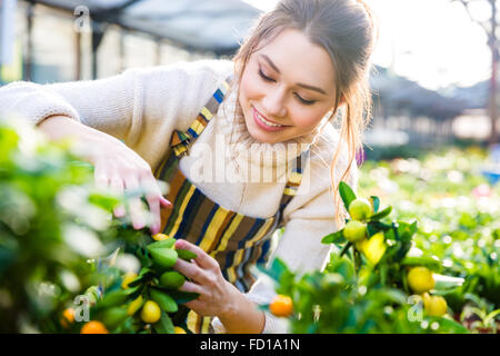 Fröhliche schöne Frau Gärtner kümmert sich um kleine Zitronen Bäume im Garten-center Stockfoto