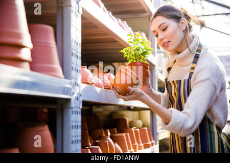 Schöne weibliche Gärtner, die auf der Suche nach einem Topf für ihre Blume im shop Stockfoto