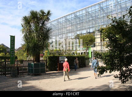 Gewächshaus im 16. Jahrhundert Hortus Botanicus. Befindet sich auf Gelände der Universität Leiden am Rapenburg Kanal, Leiden, Niederlande Stockfoto