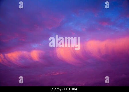 London, UK. 26. Januar 2016. UK-Wetter: Spektakuläre Winter Sonnenaufgang an einem kalten Januartag in London Credit: Dinendra Haria/Alamy Live News Stockfoto