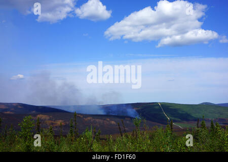 Forestfire brennen entlang der Trans-Alaska-Öl-Pipeline, Dalton Highway, nördlich von Fairbanks, Alaska Stockfoto