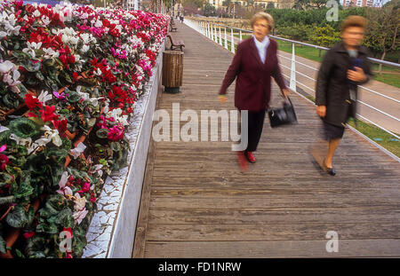 Blumen-Brücke im Jardi (Garten) del Turia, Valencia, Spanien Stockfoto