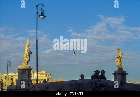 "Trinidad´ Brücke in Jardi (Garten) del Turia, Valencia, Spanien Stockfoto