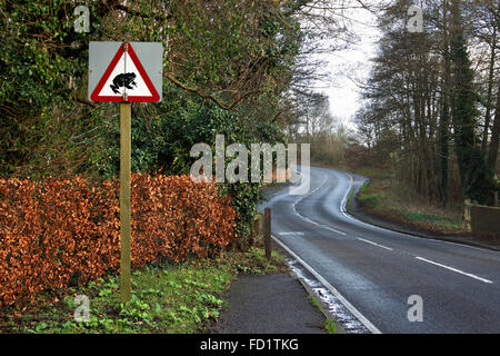 Englische Straße unterschreiben Warnung von Kröten oder Frösche in der Straße Stockfoto