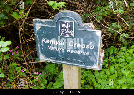 Naturschutzgebiet Kemyel Falte, Cornwall Wildlife Trust, Cornwall, England, UK Stockfoto