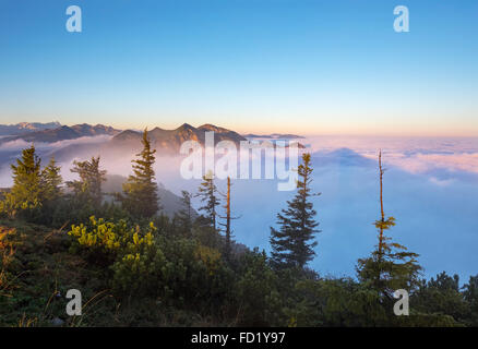 Frühmorgens am Berg Jochberg, Wolkendecke Herzogstand und Heimgarten in der Mitte, hinten links, Zugspitze Stockfoto