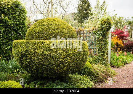 Ordentlich Formschnitt ist ein Bestandteil der Laskett Garten in Herefordshire UK Stockfoto