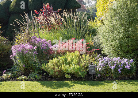 Gemischte krautige Grenze bei The Courts Garten im Herbst Stockfoto