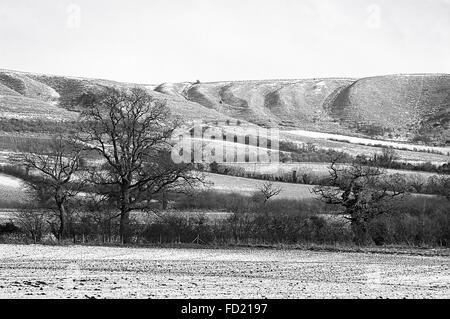 Monochromatische Winterlandschaft über den North Wessex Downs in der Nähe von Devizes Wiltshire UK Stockfoto