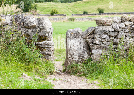 Drücken Sie Stil, oder squeezer Stil, in einer Trockenmauer, lathkill Dale, Derbyshire, Peak District, England, Großbritannien Stockfoto