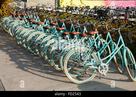 Fahrrad mieten Shop / bike / Fahrrad Verleih Schema – neben Café De Pont auf Buiksloterweg, Amsterdam, Noord-Holland. Die Niederlande Stockfoto