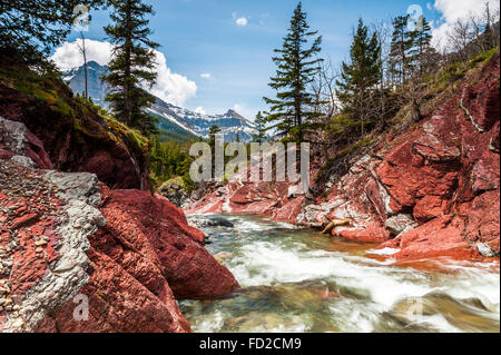 Red Rock Creek in Bewegung und Canyon in Waterton Lakes Nationalpark, Alberta, Kanada Stockfoto