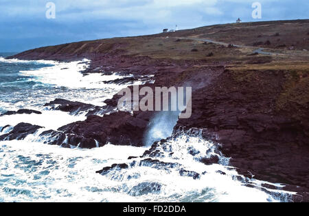 Cape Spear National Historic Site, älteste lighthouse,St.John's,Newfoundland Stockfoto