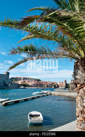 Blick auf den Hafen von Collioure mit auch der königliche Palast und die Kirche namens "Eglise Notre Dame des Anges" Stockfoto