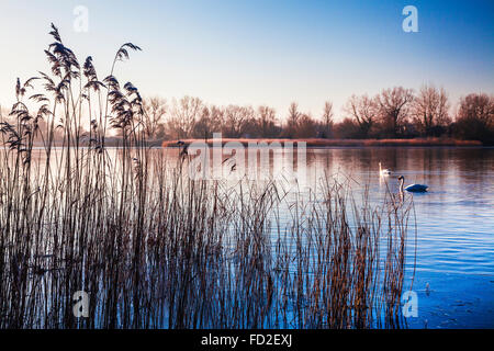 Ein Winter-Sonnenaufgang über eines der Seen im Cotswold Water Park Stockfoto