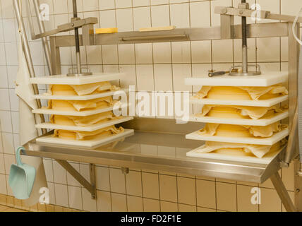 Le Reblochon ist ein AOC Käse von Le Grand-Bornand in Haute-Savoie, Französische Alpen, Frankreich Stockfoto