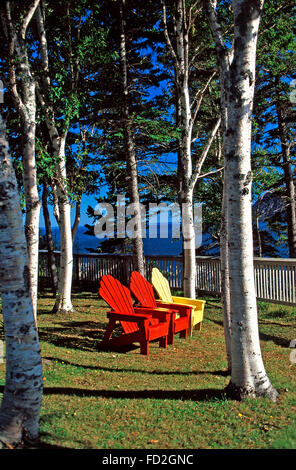 Drei Adirondack Stühle zwischen Birken, Keltic Lodge, Cape Breton Highlands National Park in Nova Scotia Stockfoto