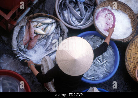 Thi Xa Bac Lieu Vietnam. Fischmarkt Stockfoto