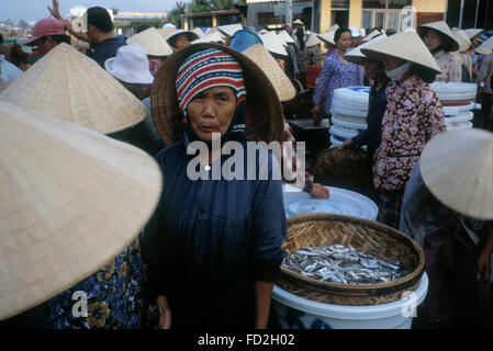 Thi Xa Bac Lieu, Vietnam Alltag am Fischmarkt Stockfoto