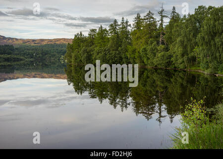 Reflexionen im Loch Alvie Stockfoto