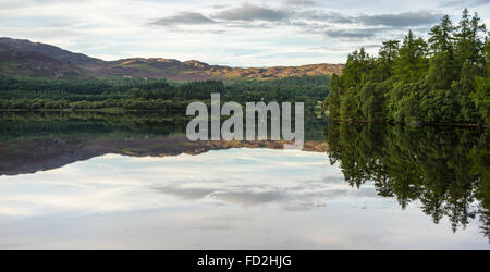 Reflexionen im Loch Alvie Stockfoto