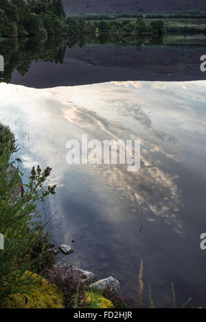 Reflexionen im Loch Alvie Stockfoto