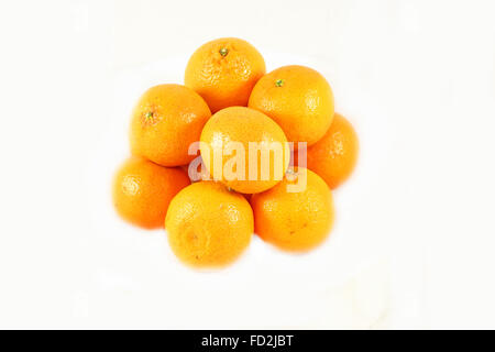 Köstliches Obst Mandarinen fotografiert Closeup auf weißem Hintergrund Stockfoto
