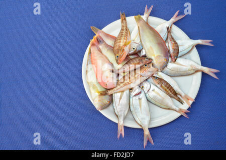 vor kurzem gefangen Fisch fertig gekocht werden Stockfoto