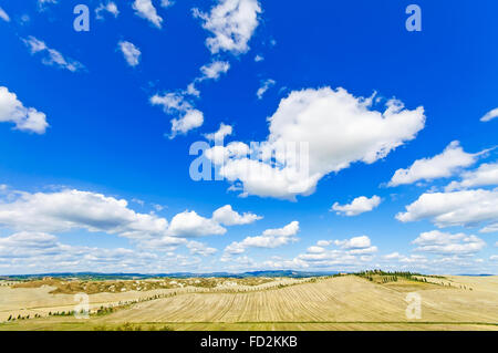 Toskana Landschaft Panorama Blick über Felder und Bäume in Crete Senesi landen in der Nähe von Siena, Toskana, Italien, Europa. Stockfoto