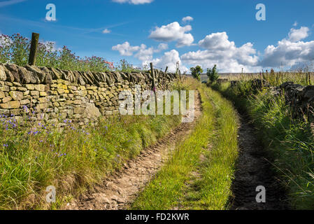 Ein Bauernhof-Track in der englischen Landschaft an einem sonnigen Sommertag. Stockfoto