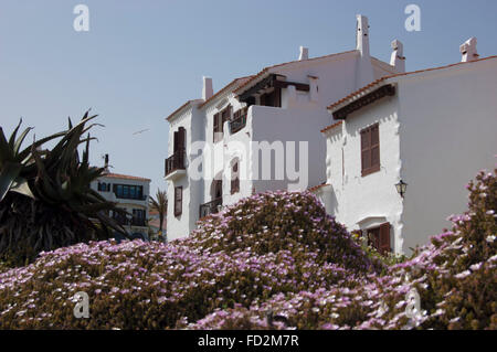 Lila Blüten unter weißen Häusern, Menorca, Spanien Stockfoto