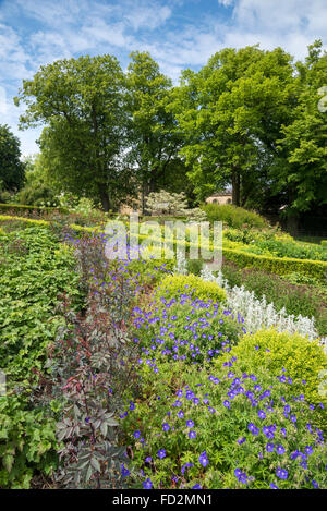 Gemischte Pflanzung im Garten John Arnold in Wentworth Castle, Yorkshire, England. Stockfoto