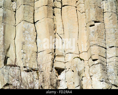 Alten Basaltsteinbruch in The Erzgebirge - Basalt säulenförmigen fügen Stockfoto