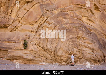 Der junge blickte zu Felsformation im Fish Creek waschen, Anza-Borrego Desert State Park, Kalifornien, USA. Stockfoto