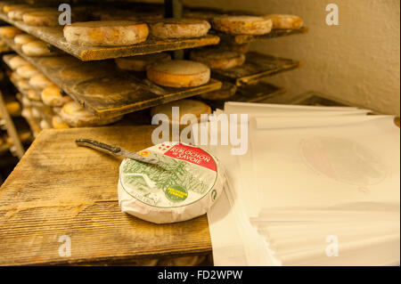 Der Reblochon ist ein AOC Käse von Le Grand-Bornand in Haute-Savoie, Französische Alpen, Frankreich Stockfoto