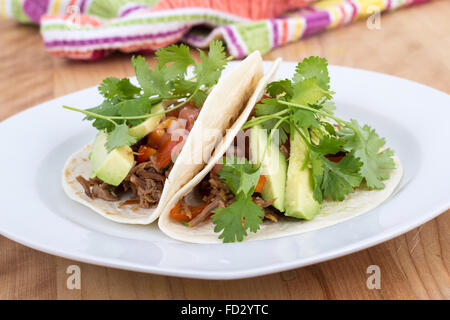 gezogen Schweinefleisch weiche Taco mit Avocado und Koriander Stockfoto