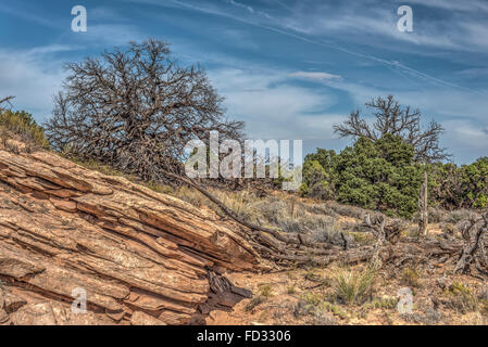 Canyonlands Nationalpark ist ein US-Nationalpark befindet sich im südöstlichen Utah in der Nähe der Stadt Moab Stockfoto