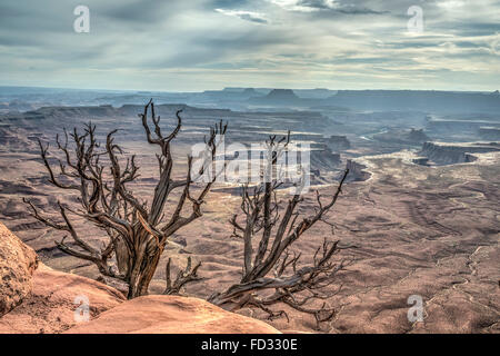 Canyonlands Nationalpark ist ein US-Nationalpark befindet sich im südöstlichen Utah in der Nähe der Stadt Moab Stockfoto