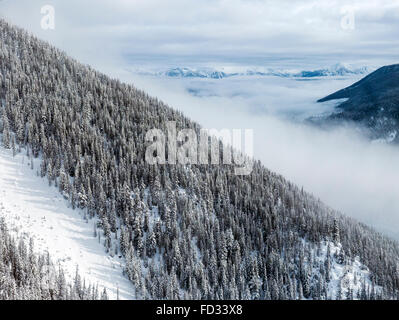 Aerial Winter Blick auf klaren Schnitt Protokollierung; Selkirk Mountains in der Nähe von entfernten Mount Carlyle Lodge;  Britisch-Kolumbien; Kanada Stockfoto