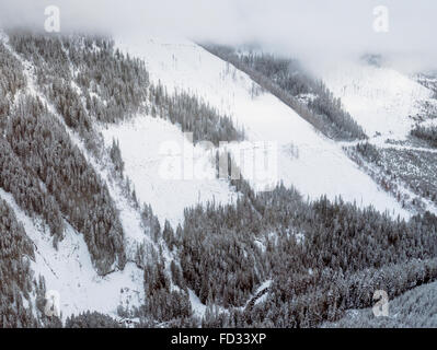 Aerial Winter Blick auf klaren Schnitt Protokollierung; Selkirk Mountains in der Nähe von entfernten Mount Carlyle Lodge;  Britisch-Kolumbien; Kanada Stockfoto