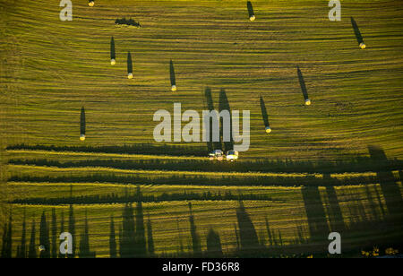 Luftbild, Bauer, Landwirt im Heu, Ballen, Silage, Glätteisen mit Rundballenpresse, Brilon, Sauerland, Nordrhein-Westfalen Stockfoto