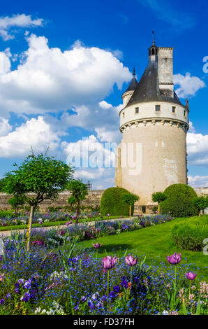 Château de Chenonceau, Chenonceaux, Loiretal, Frankreich Stockfoto