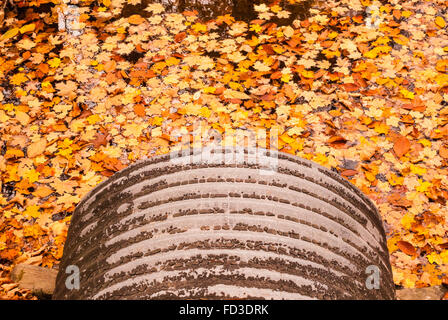Rand grau Metall Rohr entleeren in vielen Orangen Herbst Blätter auf dem Wasser schwimmend. Schlamm und Steine decken einen Teil der Leitung. Stockfoto