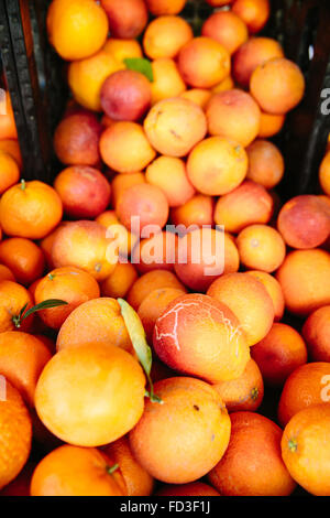 Lebendige Orangen erscheinen an einem Stand in der Farmers Market in Santa Monica, Kalifornien. Stockfoto