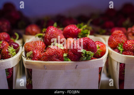 Frische Erdbeeren in Quart auf dem Hofladen. Stockfoto